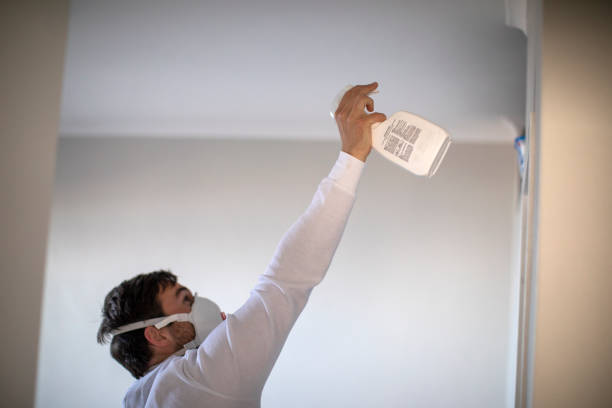 Best Toxic Mold Removal  in Sandusky, OH