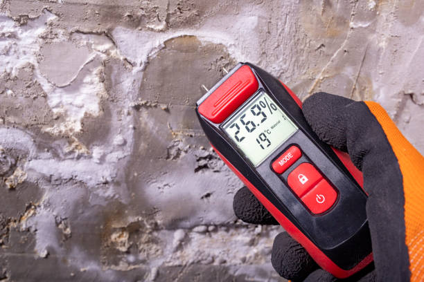 Best Local Mold Removal Service  in Sandusky, OH